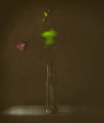 Stille blomst og blad af Delphine Devos