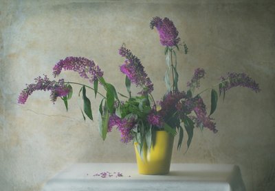 Rustikt blomsterstilleben af Delphine Devos