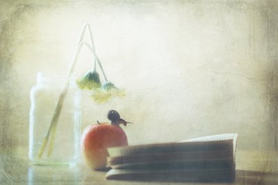 Snegleæble – Et stille øjeblik af Delphine Devos