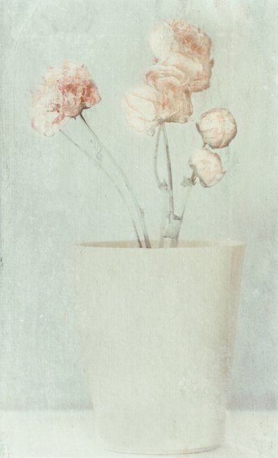 Bløde, falmede blomster af Delphine Devos