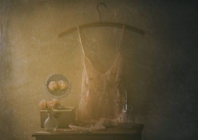 Vintage boudoir-undertøj af Delphine Devos