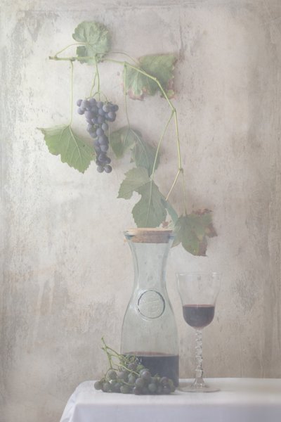 Stilleben med vintage-druer og vin af Delphine Devos