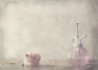Vintage Pink Rose-parfume af Delphine Devos