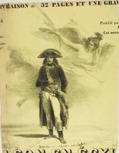 Napoleon i Egypten af Denis Auguste Marie Raffet