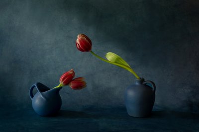 Elegant tulipan-stilleben af Dennis Zhang