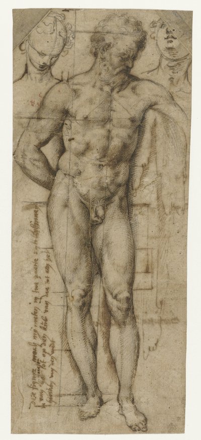 Studie af en nøgen mand (Hercules?) og to hoveder af kvinder af Denys Calvaert