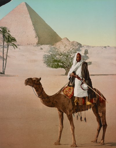 Beduin på en kamel og den store pyramide, Cairo, Egypten af Detroit Photographic Co.