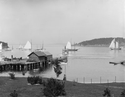 Bar Harbor, Mt. Desert Island, Maine, havnen fra Newport House, ca. 1901 af Detroit Publishing Co.