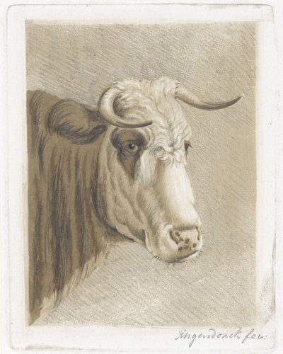 kagekop af Diederik Jan Singendonck (signed by artist)