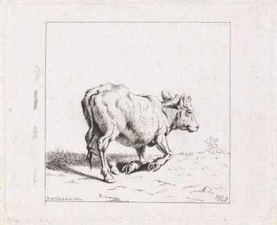 Stigende kalv af Diederik Jan Singendonck