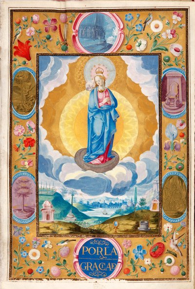 Immacule Conception i Enforceable Charter of ridderlighed af Arias Pardo de Cela af Diego Gómez