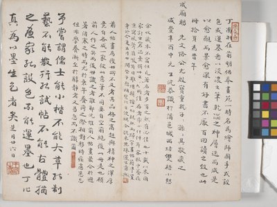 Album Of Landscape Paintings (blæk på papir) af Ding Yunpeng