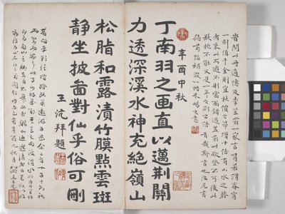 Album Of Landscape Paintings (blæk på papir) af Ding Yunpeng
