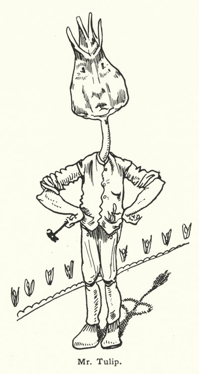 Hr Tulip af Dion Clayton Calthrop