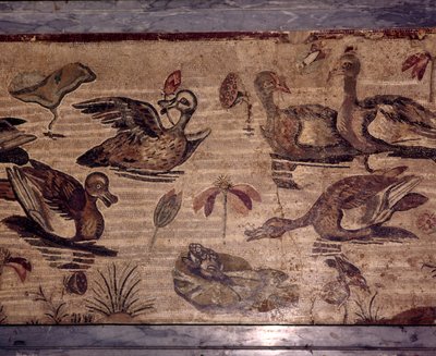 Romersk mosaik fra Pompeji af ænder og frøer i en vandhave, 1. århundrede af Dioscurides of Samos