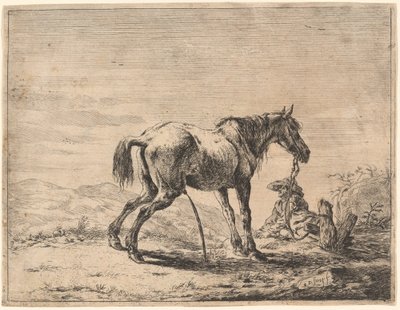 Opdrættende hest nær en stald af Dirck Stoop