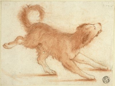 Knurrende hund klar til at slå til af Dirk Valkenburg