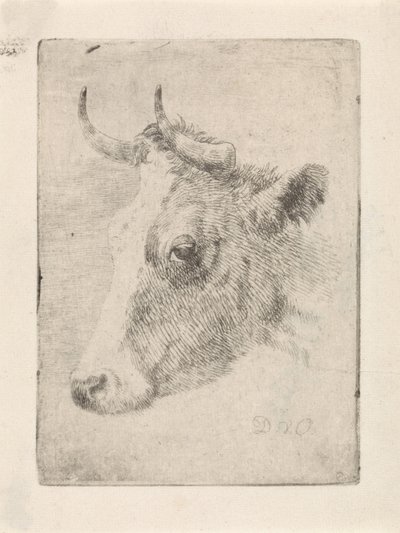 Hovedet af en tyr af Dirk van Oosterhoudt