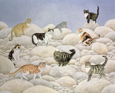 Lynn Valley Cats af Ditz