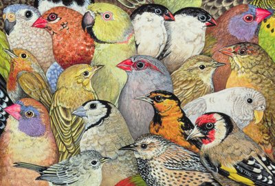 Patchwork-Birds, 1995 (akryl på panel) af Ditz