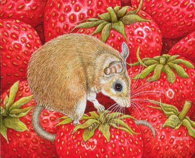 Strawberry-Mouse, 1995 (akryl på panel) af Ditz