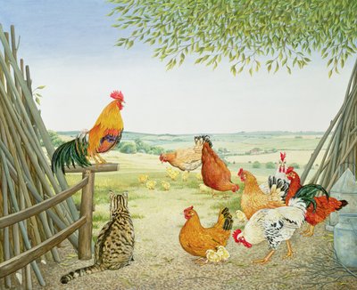 Fowl and the Pussycat af Ditz