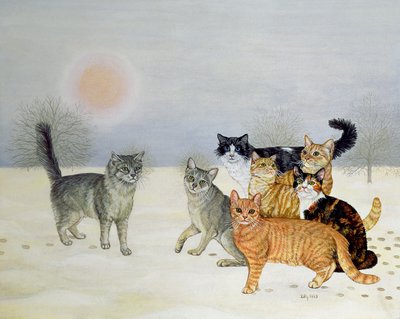 Vinter-katte af Ditz