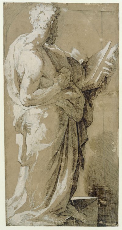 Apostel af Domenico Beccafumi