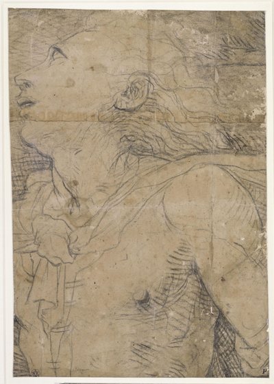 Ung mand, der ser op (halvfigur), fragment af en karton af Domenico Beccafumi