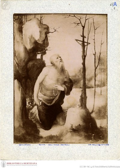 Beccafumi - Den angrende Jerome, inventar nr. 166 af Domenico Beccafumi