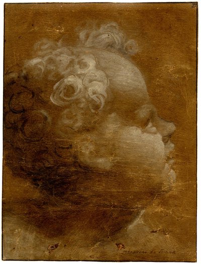 Beccafumi - Hoved af et barn, der kigger op, i profil til højre Penseltegning i gråbrun og hvid olie, på brunt præpareret papir, med indrykkede linjer, 1528 (ca.) af Domenico Beccafumi