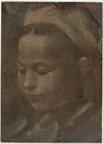 Hovedet af en ung kvinde af Domenico Beccafumi