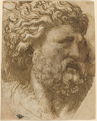 Hoved af en mand af Domenico Campagnola