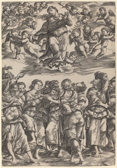 Jomfruens antagelse af Domenico Campagnola