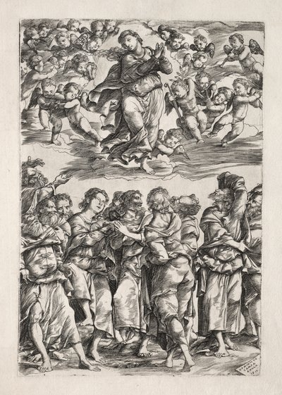 Jomfruens antagelse af Domenico Campagnola