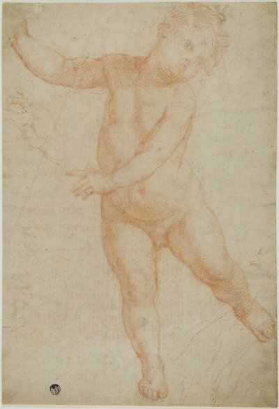 Putto stående på højre ben (recto); Skitse af en draperet arm (verso) af Domenico Cresti