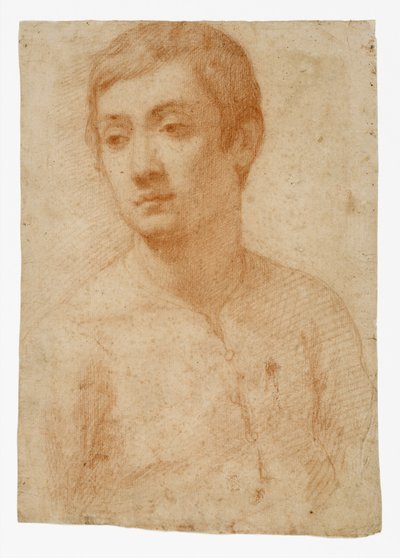 The Head of a Youth, ca. 1600-25 (rødt kridt på lagt papir) af Domenico Cresti