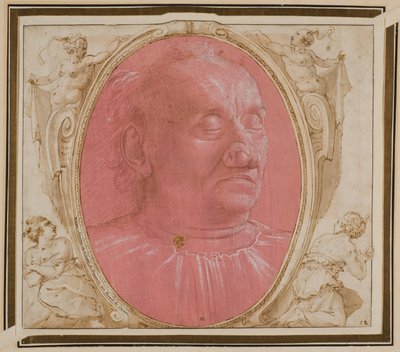 Hovedet af en gammel mand af Domenico Ghirlandaio