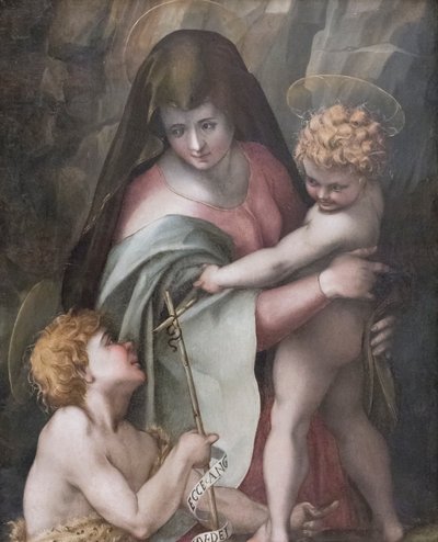 Madonna and Child with the Young St John, Domenico Puligo (olie på panel) af Domenico Puligo