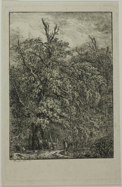 Stort træ af Domenico Quaglio