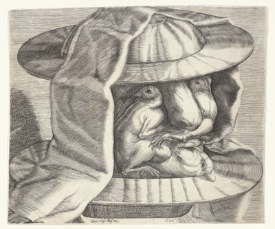 Et grotesk hoved med en hjelm i stil med Arcimboldo Et grotesk hoved med hjelm i stil med Arcimboldo af Dominicus Custos