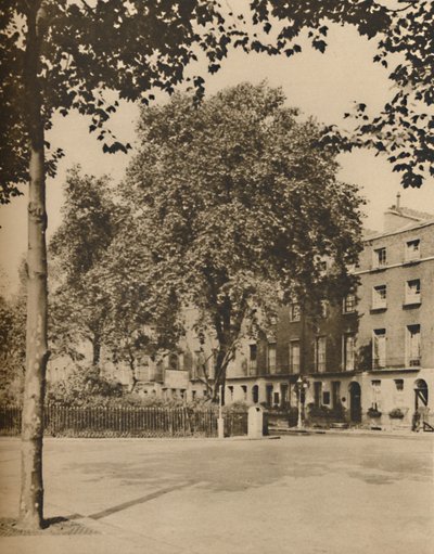 In Boarding-House Land: The Plane Trees of Torrington Square, c1935. af Donald McLeish