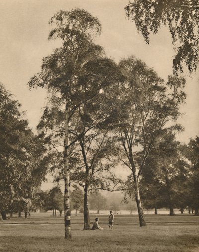 The Lace-Work of the Leaves: A Summer Morning in Hyde Park, c1935. af Donald McLeish