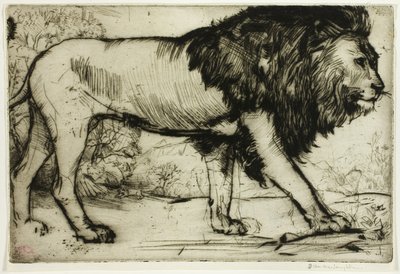 En løve af Donald Shaw MacLaughlan