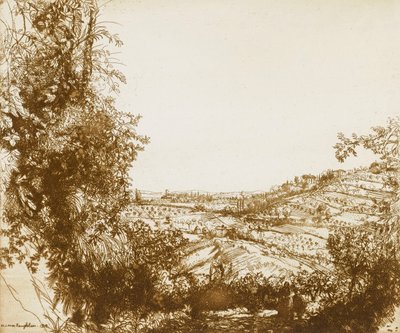Olivenlunde af Donald Shaw MacLaughlan