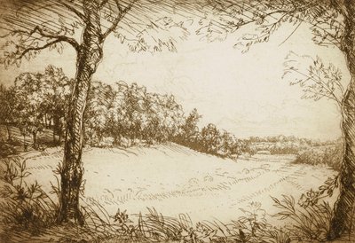 Sommermorgen i Tennessee af Donald Shaw MacLaughlan