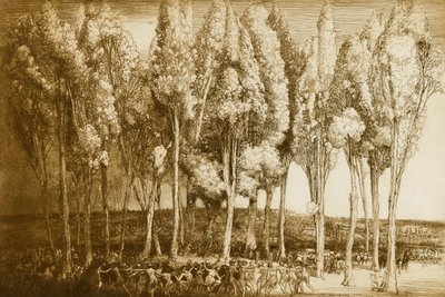 Forårets dans af Donald Shaw MacLaughlan