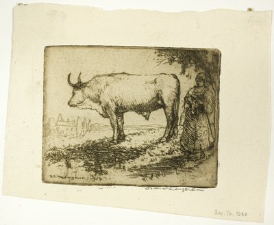 Den hvide okse af Donald Shaw MacLaughlan