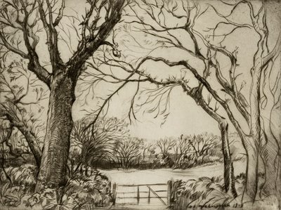 Tragenna Wood af Donald Shaw MacLaughlan
