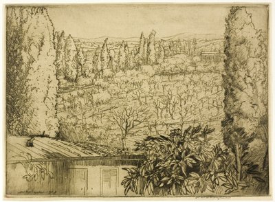 Toscana af Donald Shaw MacLaughlan